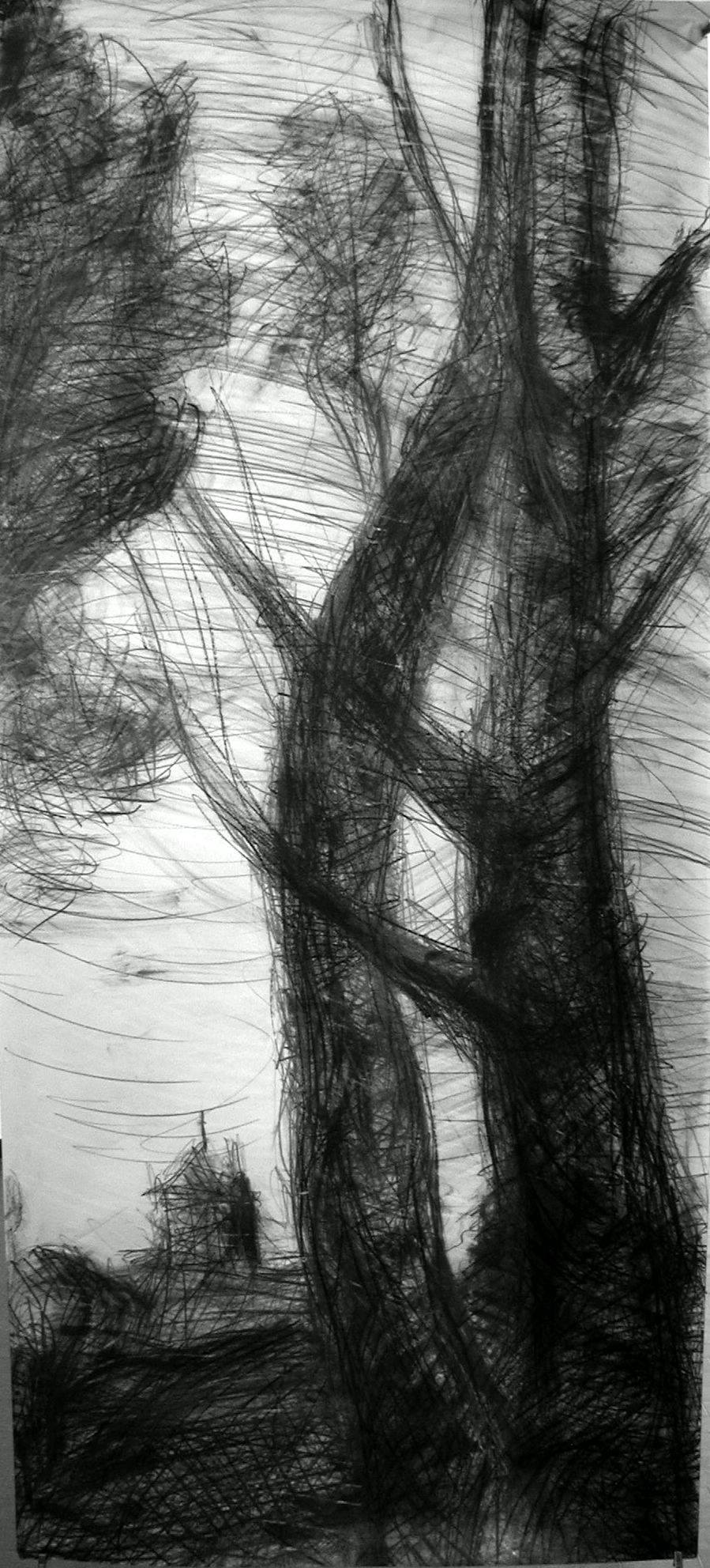 N° 2