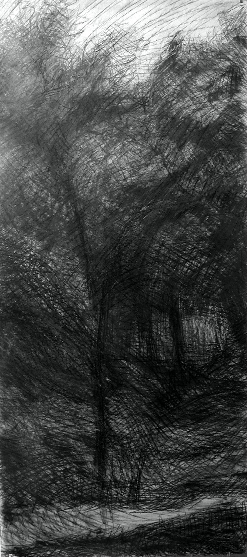 N° 3