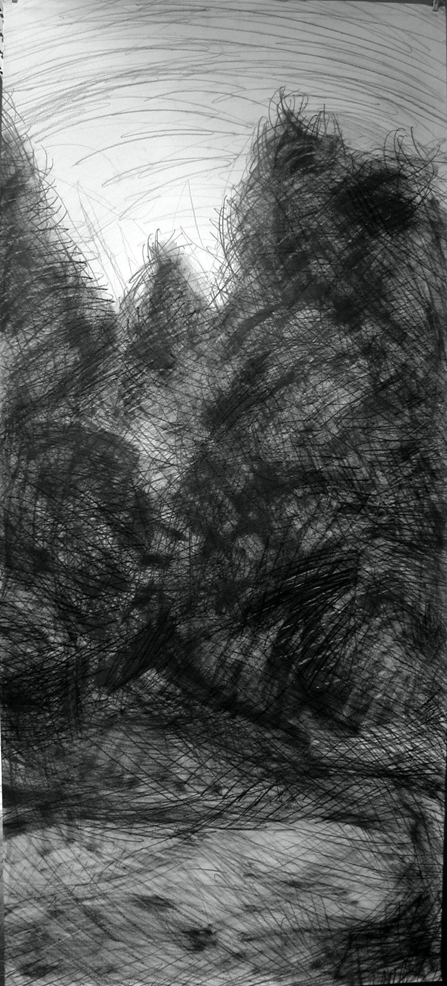 N° 6