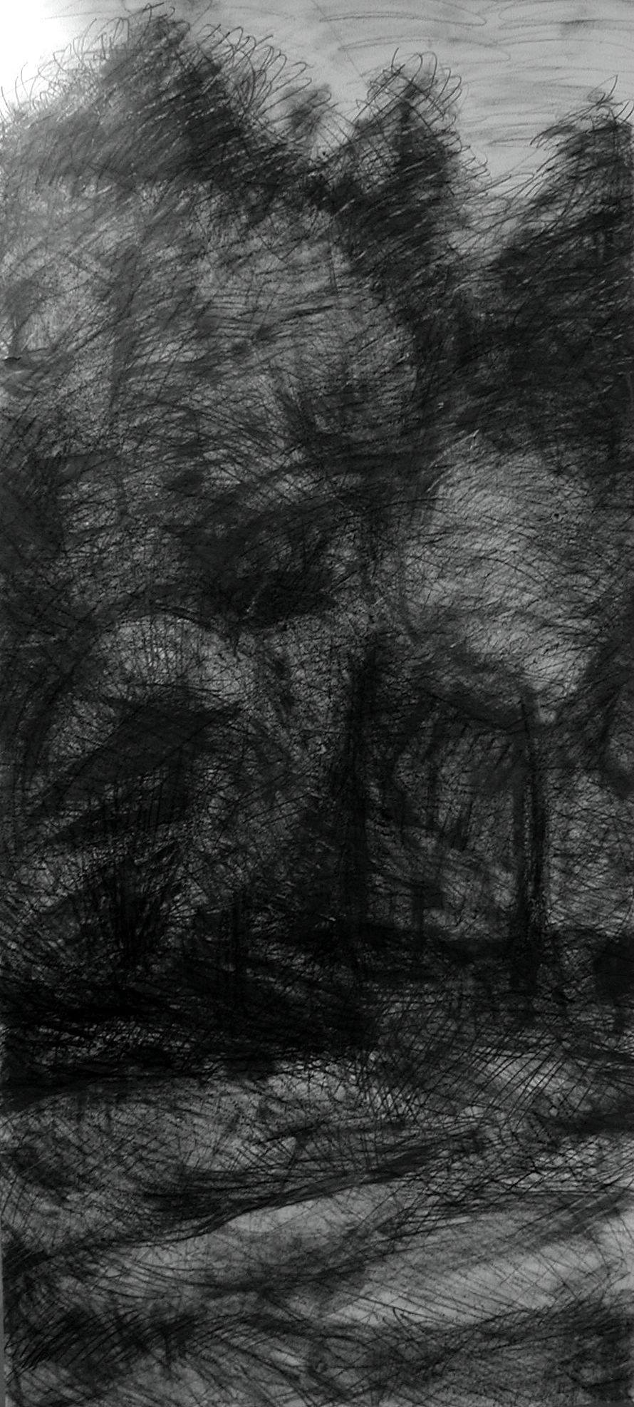 N° 7
