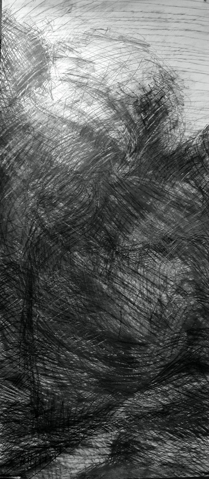 N° 5
