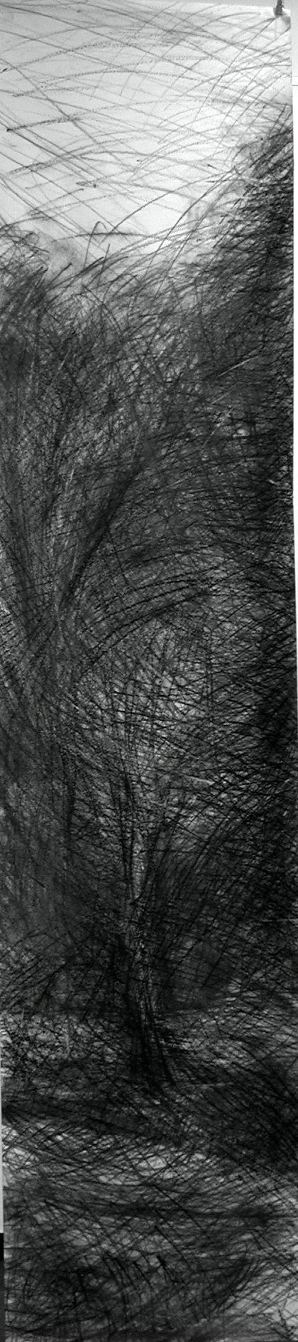 N° 11