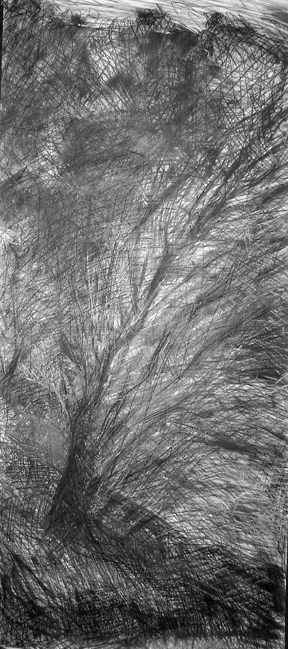 Ombres croisées