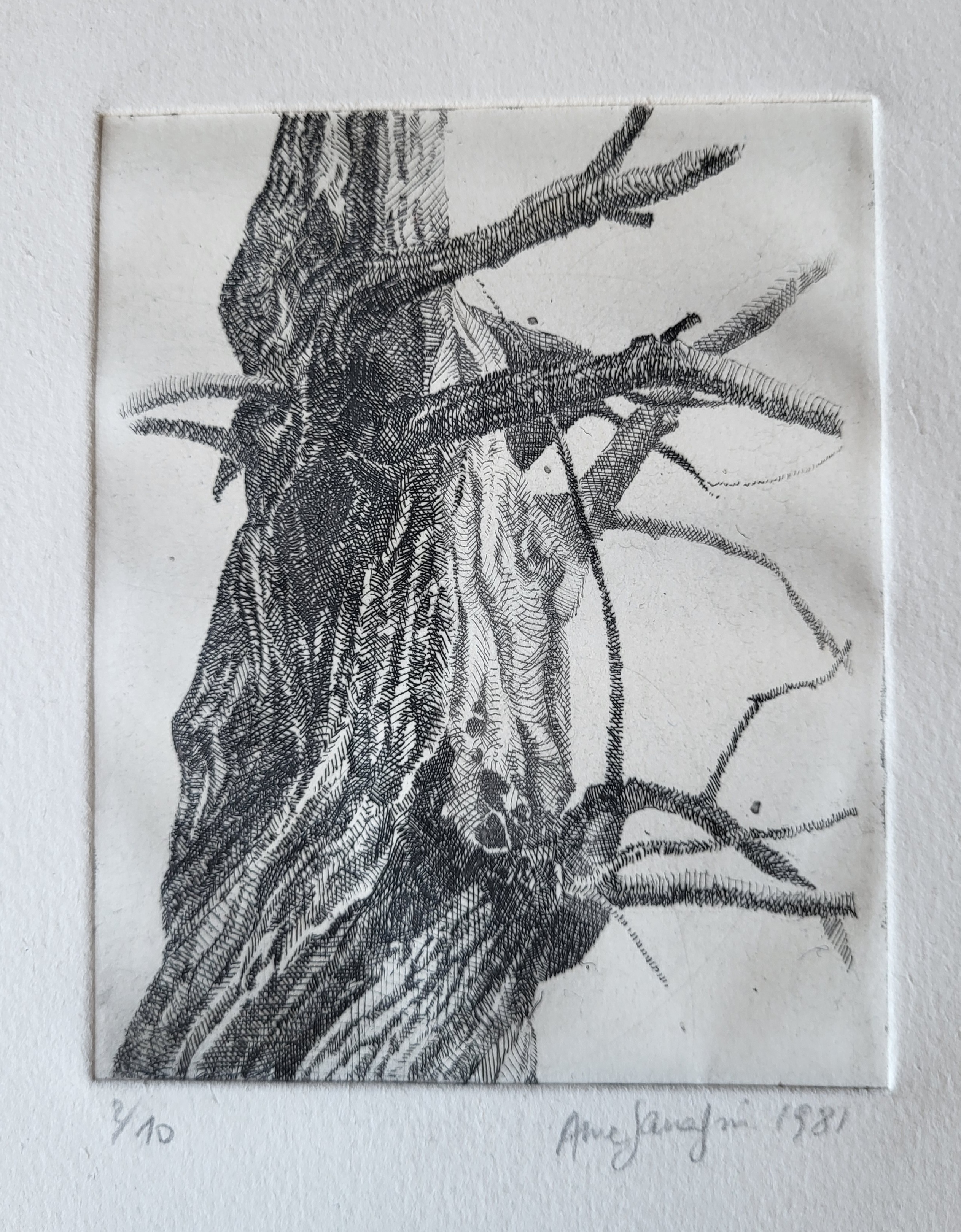 Arbre 1