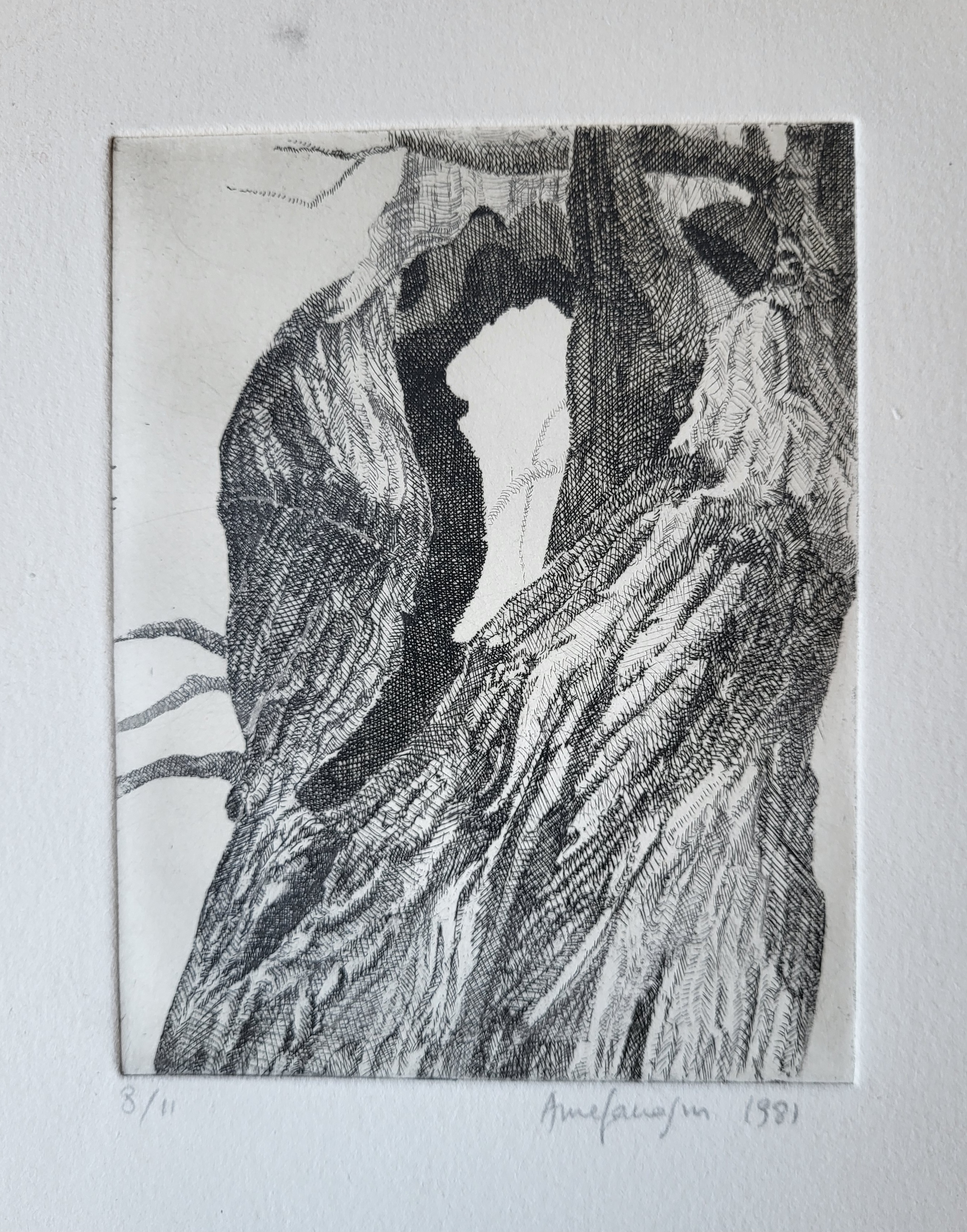 Arbre 2