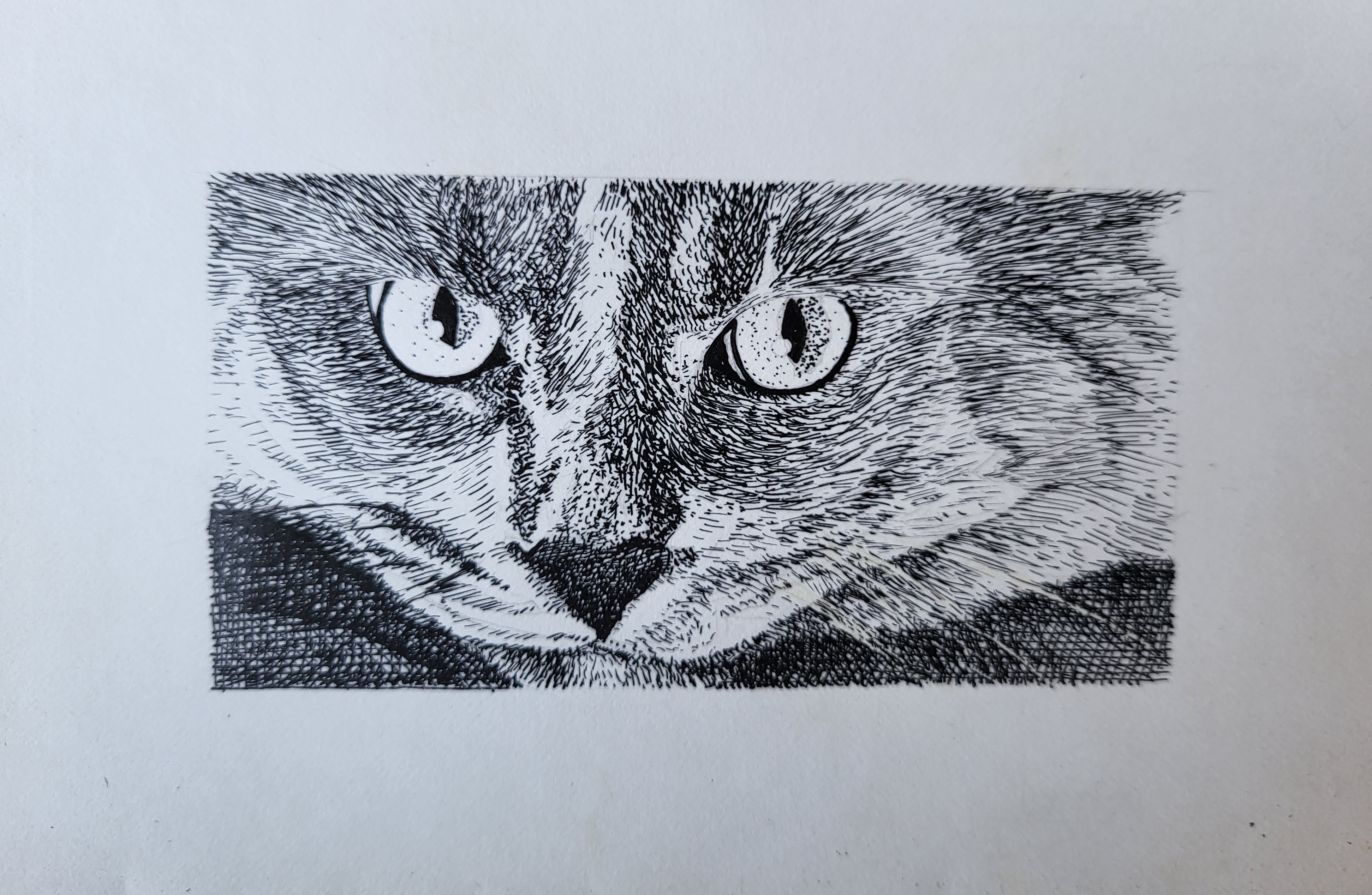 Chat